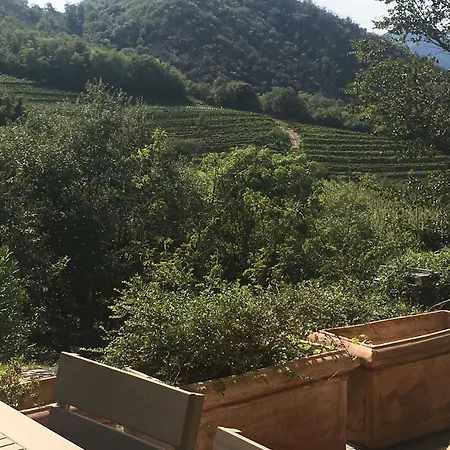 Euganean Hills